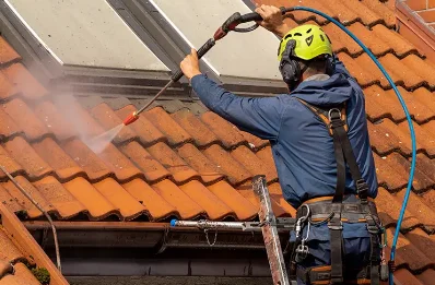 Démoussage et hydrofuge de toiture à Bartherans